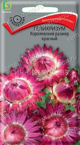 Гелихризум Королевский размер красный, 0,1 г (Поиск)