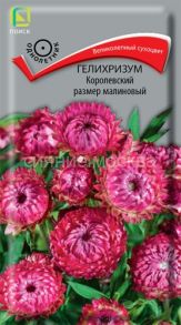 Гелихризум Королевский размер малиновый, 0,1 г (Поиск)