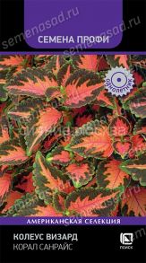 Колеус Визард Корал Санрайс (Семена Профи), 10 шт (Поиск)