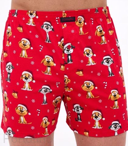 016-21 Трусы семейные новогодние Cornette