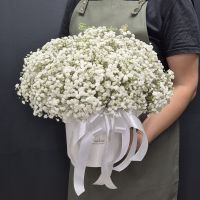 Коробка из белоснежной гипсофилы