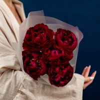 Букет из  5 красных пионов