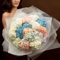 Шыкарный букет из15  гортензии