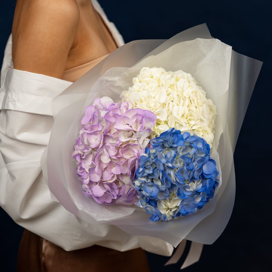 Букет из Голландских Гортензии от 5 шт