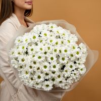 Букет из  15 белых  хризантем