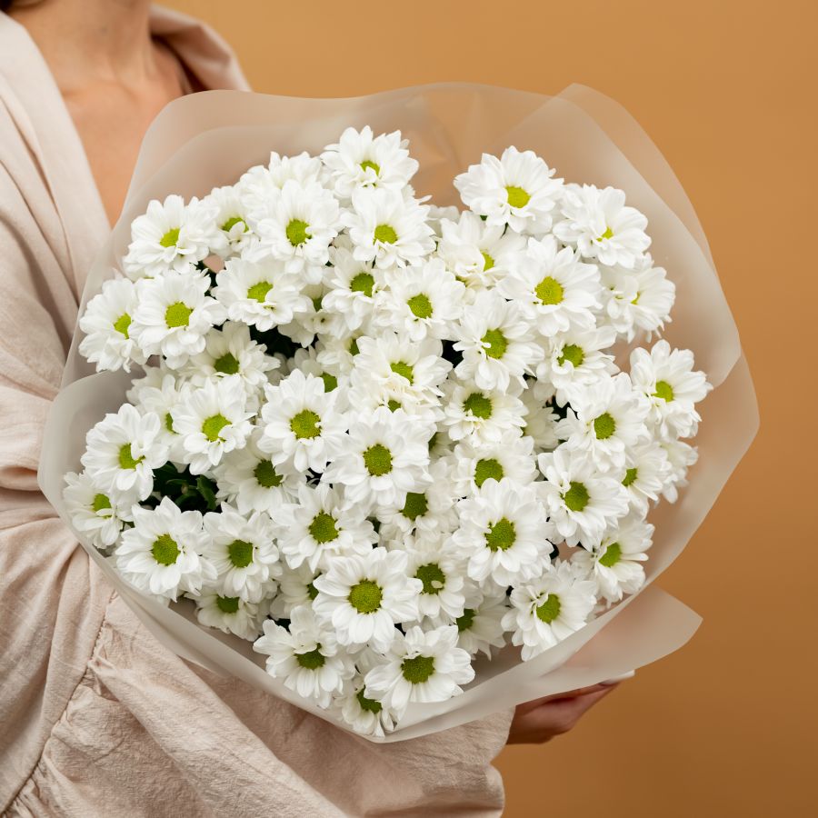 Букет из 9 шт   ромашковых хризантем