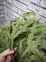 Веточки пихты и кедра