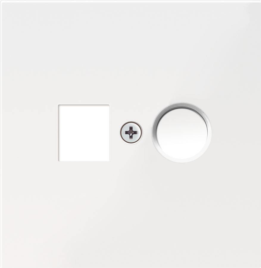 Накладка для розеток RJ45+SAT, 2-я, белый, серия R98