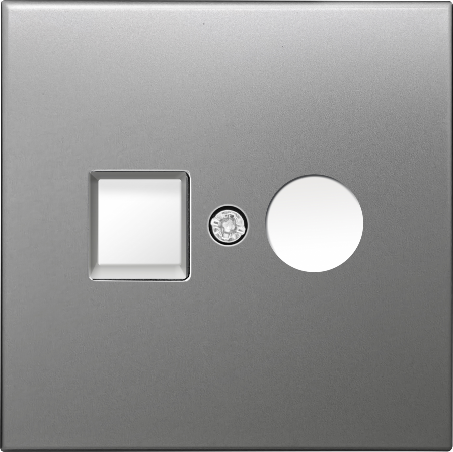 Накладка для розеток RJ45+SAT, 2-я, благородная сталь, серия R98 METAL