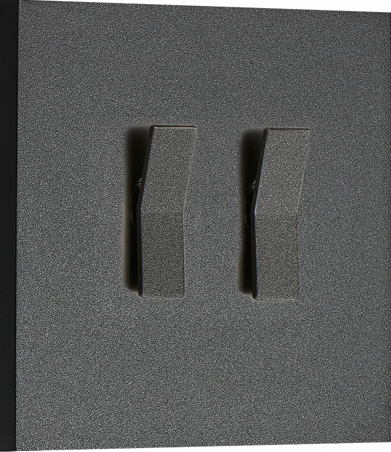 Переключатель на 2 тумблера, клавиша Angle, 10AX 250V, черный, серия N96