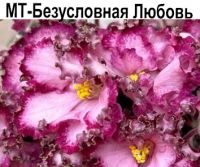 МТ-Безусловная Любовь
