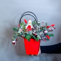 Нобилис в красной сумке с эвкалиптом