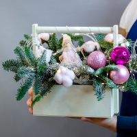 Нобилис в деревянном ящике