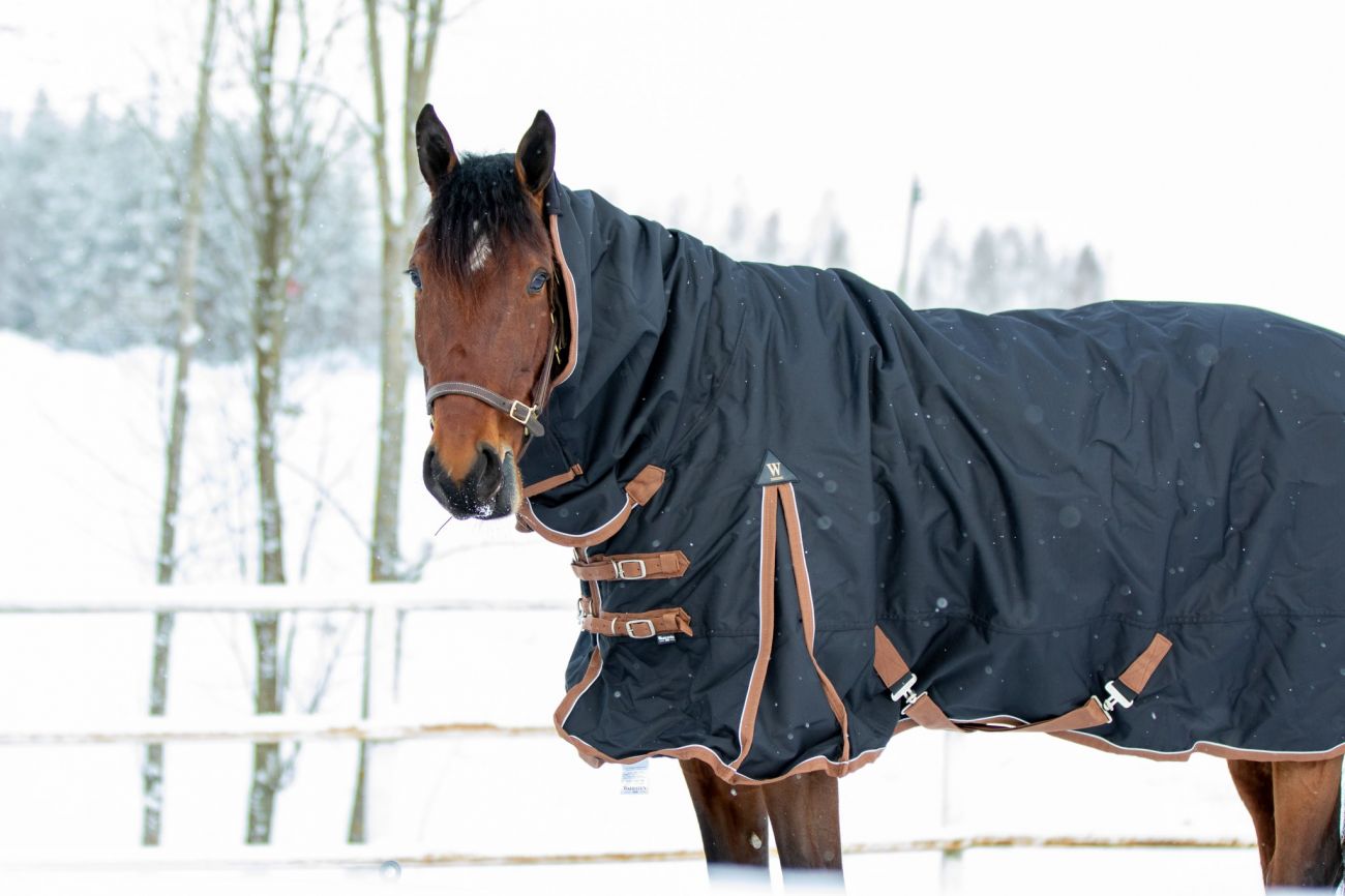 Непромокаемая попона с полной шеей "RAIN BUSTER", на утеплителе 100 г/м, ткань 600D Ripstop