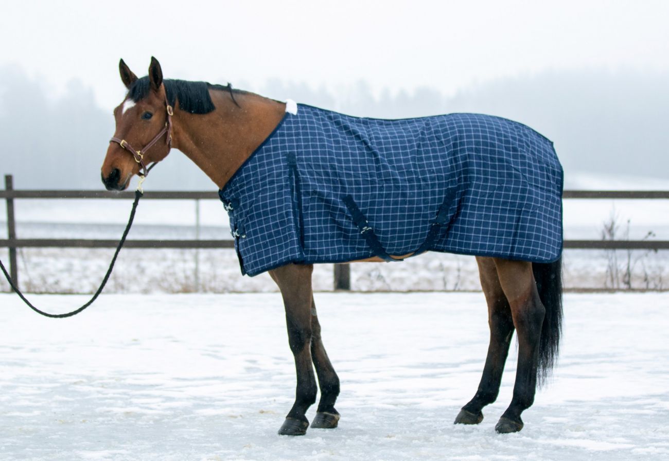 Денниковая попона  "Horse Comfort", верх 320 ДЕН, наполнитель 100 гр, нейлоновая подкладка.