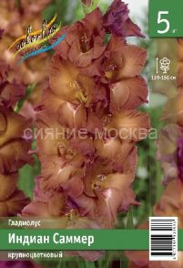 Гладиолу Индиан Саммер, 10/12, 5 шт., Колорлайн