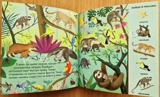 Найди животных всего мира GIF