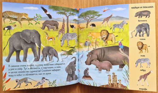 Покажи животных со всего мира