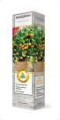 Citrus-Mandarin-komnatnoe-rastenie-1-sht-Poisk1