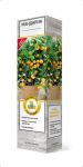Citrus-Mandarin-komnatnoe-rastenie-1-sht-Poisk1