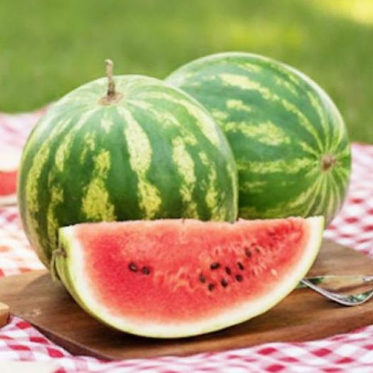 Арбуз СКОРИК, 50г семян