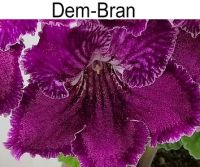 Dem-Bran