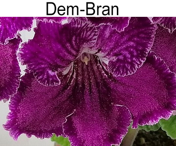 Dem-Bran (Демченко)