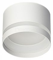 Накладной светильник Hardy CL002C10