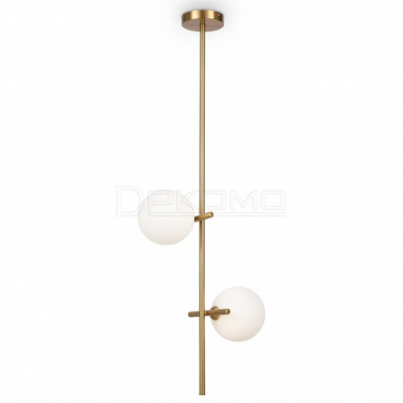 Светильник на штанге Blossom FR5259PL-02BS