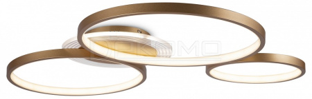 Накладной светильник FR10014CL-L87G