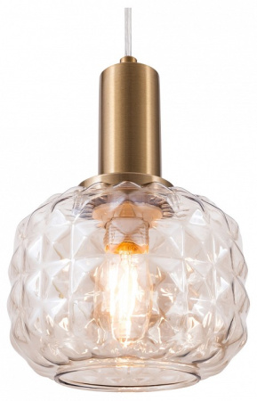 Подвесной светильник Fero FR5366PL-01BS