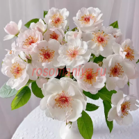 Жаклин дю Пре (Jacqueline du Pre)