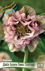 Морозник Дабл Эллен Пинк Споттид Double Ellen Pink Spotted, 1 шт (Флора Селект)