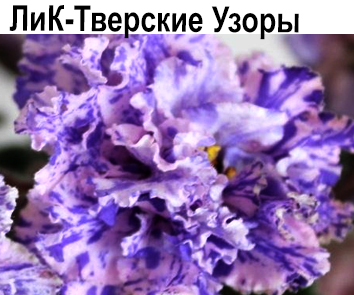 ЛиК-Тверские Узоры (Г.В.Лазаренко)  НОВИНКА КАТАЛОГА