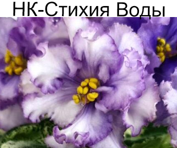 НК-Стихия Воды (Скорнякова)