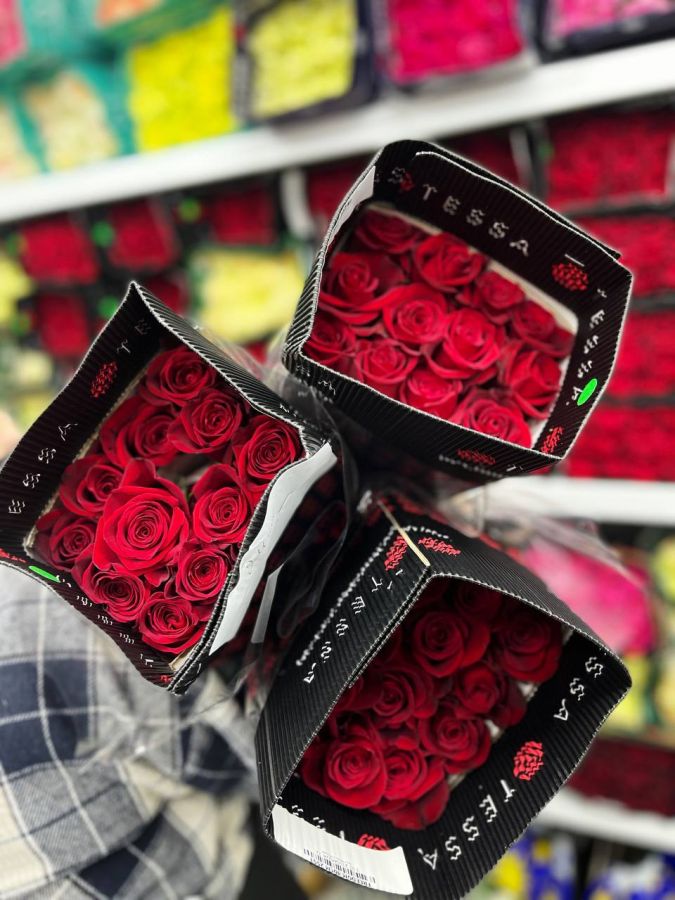 Роза Explorer 60 см