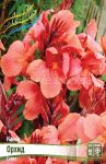 Канна Орхид, (Canna Orchid),1 шт., Колорлайн