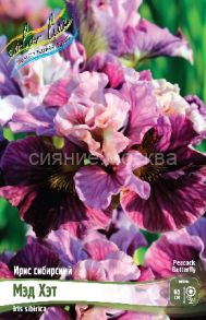 ИРИС СИБИРСКИЙ МЭД ХЭТ, (Mad Hat), 1 шт (Флора Селект)