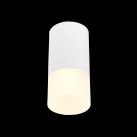 ST100.512.01 Светильник потолочный Белый GU10 1*50W IP20 D64xH131 220V Без ламп