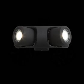 SL093.401.02 Светильник уличный настенный ST-Luce Черный/Черный, Прозрачный G5,3 2*3W