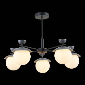 SLE220202-05 Светильник потолочный Черный, Серый/Белый G9 5*5W.