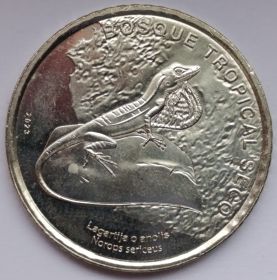 Шелковистый анолис Ящерица Тропический сухой лес  50 колонов Коста-Рика 2023 (2025)