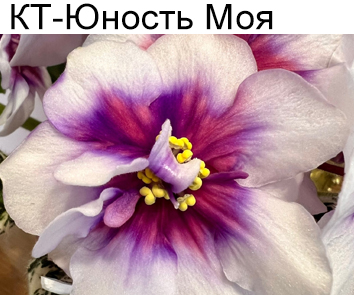 КТ-Юность Моя (И. Кабанова/Е. Трофименко).  НОВИНКА