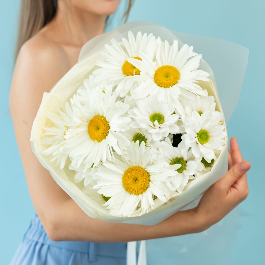 Сборный ромашки 5шт + хриза 2шт