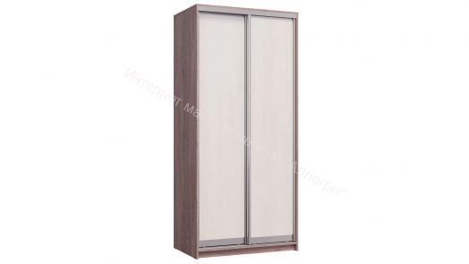 Шкаф-купе "Мираж 10.2" 2-х дверный Ясень анкор темный/Ясень анкор светлый