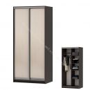 Шкаф-купе "Мираж 10.2" 2-х дверный Венге/Млечный дуб