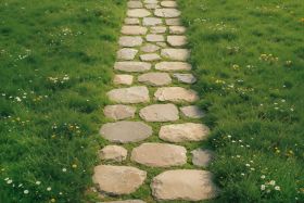 Фон полы "Trawa floor №5"