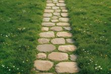 Фон полы "Trawa floor №5"