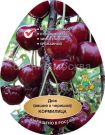 Vishnya-chereshnya-dyuk-Kormilica-podvoj-semennoj-vishnya-Magalebskaya-1-sht-Poisk