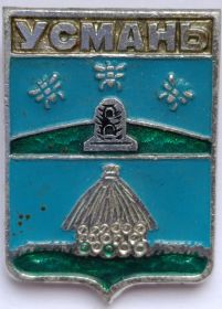 Значок герб Усмань